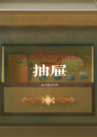 抽屉式收纳箱