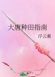 大唐种田日常